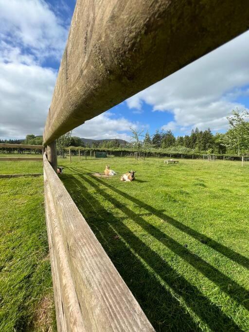 Herdmans Hideaway Brecon Exteriör bild